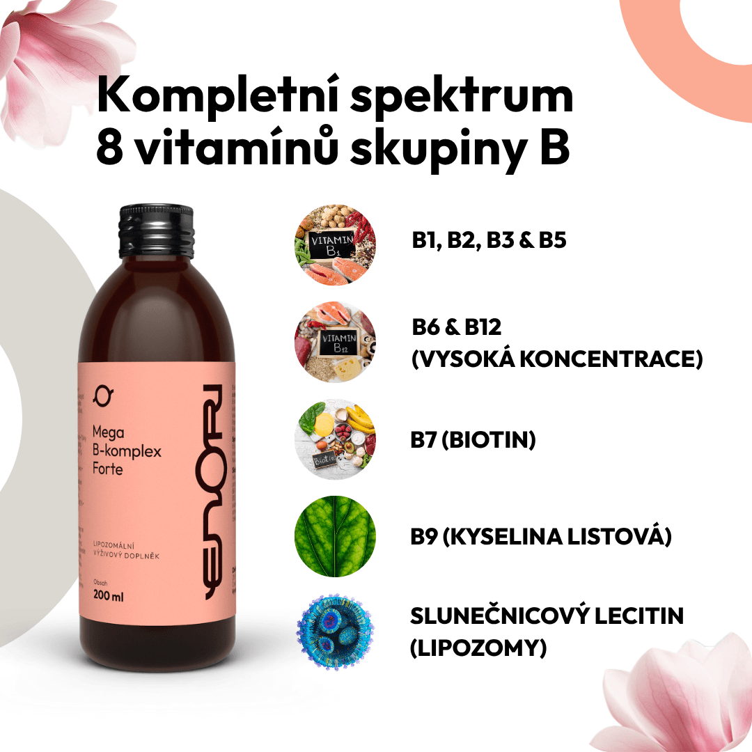 B-komplex  6 CZ